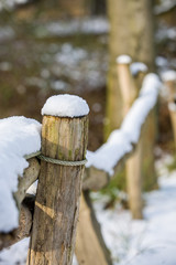 Moss and snow covered fence post in winter
