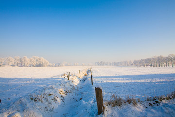 Winter landscape showing a farm land scene covered by snow under a clear blue winter sky