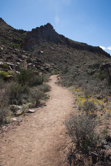 Path through the desert landscape