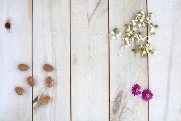 Healthy nutrition, nuts and sprouted sprouts of mung bean laid out on a wooden eco background