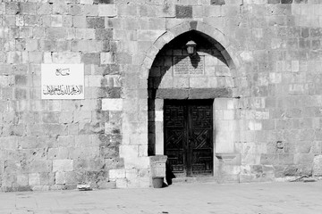 old castle door