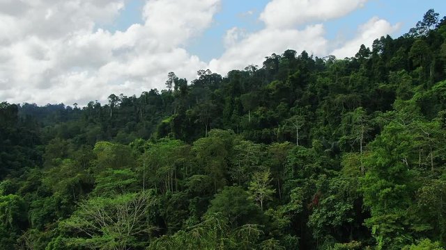 Medium shot of Aerial view of Asia rainforest. Flight over the jungle by Drone. Day time with clouds and blue sky.