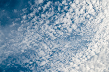 Céu de fim de tarde com Cirrus