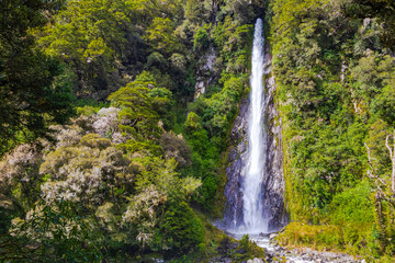 Landscapes of South Island. Waterfall among the greenery. South Island, New Zealand
