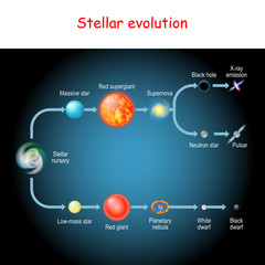 Stellar evolution. Life cycle of a star.