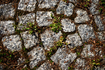 Zarośnięta kostka granitowa.