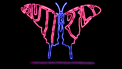 Text BUTTERFLY is written in the shape of a butterfly with neon light effect. animal text outline with neon light effect.