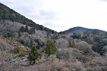 Fototapeta na wymiar 清水寺から見た山の風景