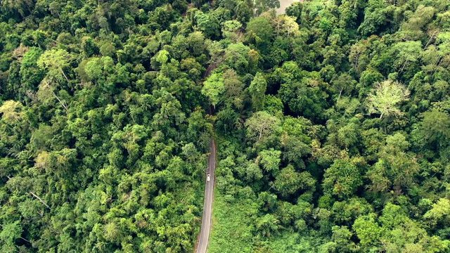Slow motion of car running on the road in rainforest. Aerial view of Asia forest. Flight over jungle by Drone. Transportation and Environment Concept.