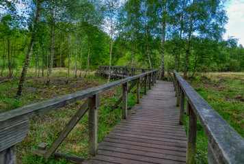 Fototapeta na wymiar Moor und Holzsteg in der Heide in Solingen Ohligs
