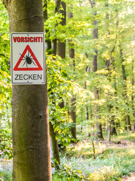 Vorsicht vor Zecken im Wald