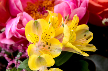 Lilie in einem Blumenstrauß © Martina