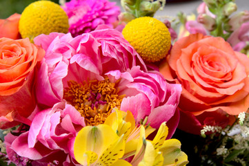 Pfingstrose in einem Blumenstrauß