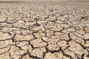 Cracked soil in the summer with the sun. Cracks of the dried soil in arid season at rural Thailand.