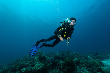 Naklejka na ściany i meble woman diver over a tropical reef
