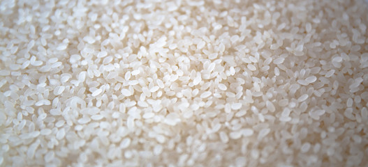 Japanese Rice　お米