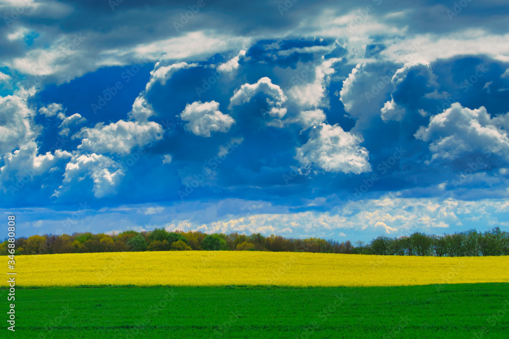 Wall mural green field and cloudy sky