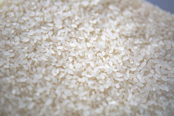 Japanese Rice　お米