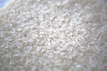 Japanese Rice　お米