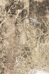 Old concrete wall texture with water infiltration