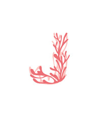 Letter J pink colored seaweeds underwater ocean plant sea coral elements flat vector illustration on white background