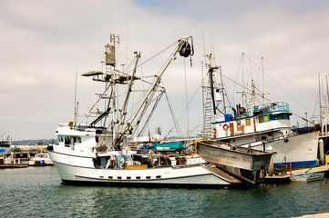 San Diego Tuna Fleet