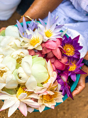 Obraz na płótnie Canvas Basket of flowers 