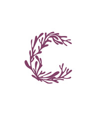 Letter C purple colored seaweeds underwater ocean plant sea coral elements flat vector illustration on white background