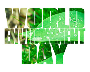 World Environment Day text,  green sprout, white background. Ecology, hunger, poorness, need. Team work, sea, plastic pollution, charity, compassion, overpopulation, virus.
