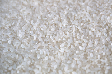 Japanese Rice　お米