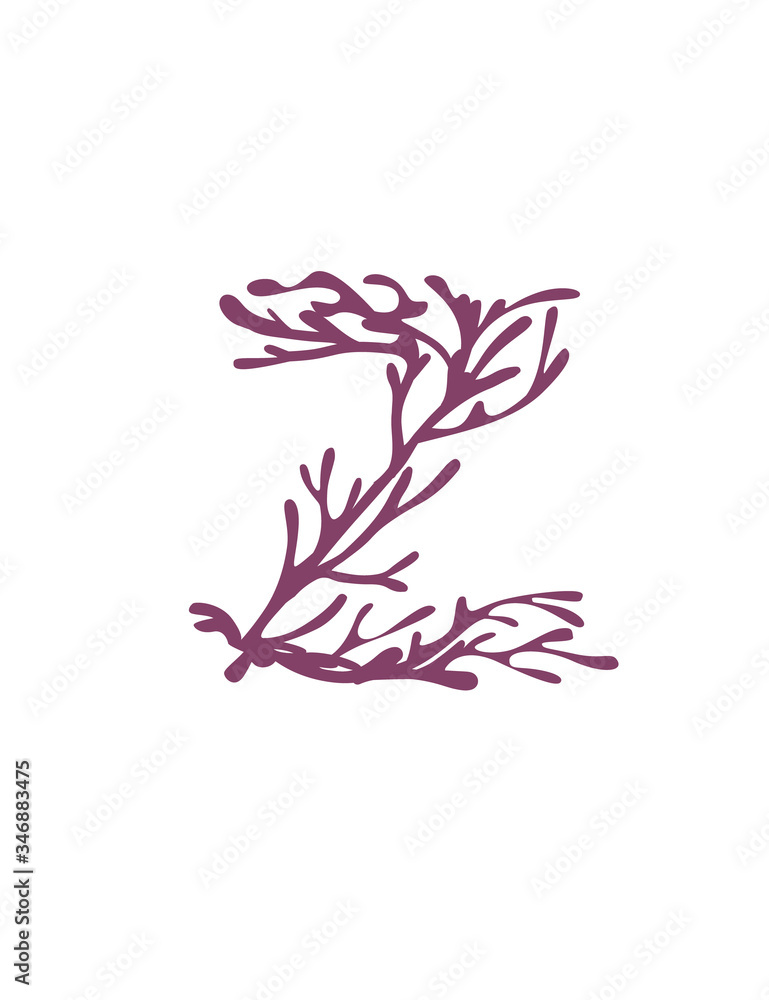 Wall mural letter z purple colored seaweeds underwater ocean plant sea coral elements flat vector illustration 