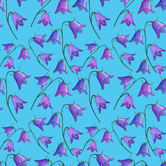 seamless pattern with bellflowers campanula flowers on light blue background in gouache. Spring, summer holidays presents and gifts wrapping paper For textiles, packaging, fabric, wallpaper