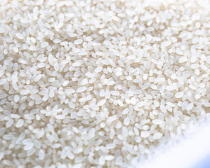 Japanese Rice　お米
