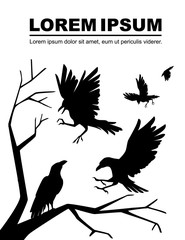 Black silhouette group of black crows a dead tree branch advertising flyer design cartoon animal style flat vector illustration on white background
