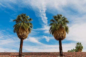 Fototapeten Palmen vor blauem Himmel mit Dachspitze © LinaLoos