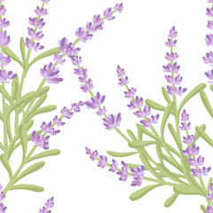 Fototapeta na wymiar Seamless pattern with lavender flowers summer herbal natural bouquet flat vector illustration on white background