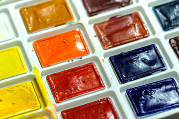 beautiful difference watercolor filled in white palette dish