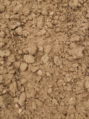 Suelo de tierra y sequia