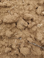 Suelo de tierra y sequia