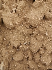 Suelo de tierra y sequia