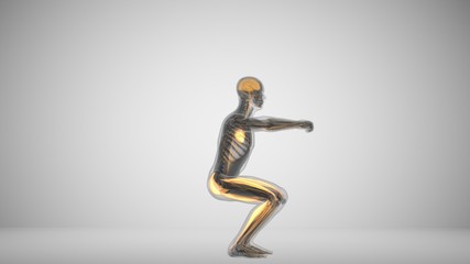 3d illustration of a man doing squats with backlighting muscles