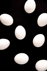 .chicken  eggs on a black background