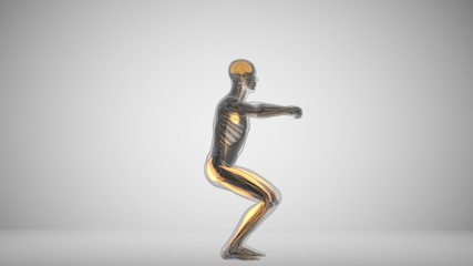 3d illustration of a man doing squats with backlighting muscles