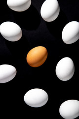 .chicken  eggs on a black background
