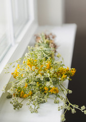 Natural and beautiful flowers lying on the window sill. Foraging wild, fresh flowers and herbs. White sill. 