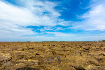 Land with dry and cracked ground. Desert