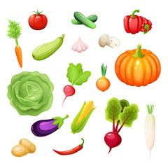 vegetable1