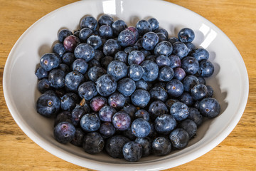 Blueberries in a white bowl on a Indian Wood Finish Table.