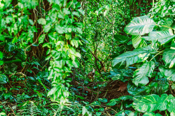 Obraz premium Landschaft Neuseeland