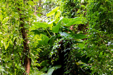 Landschaft Neuseeland